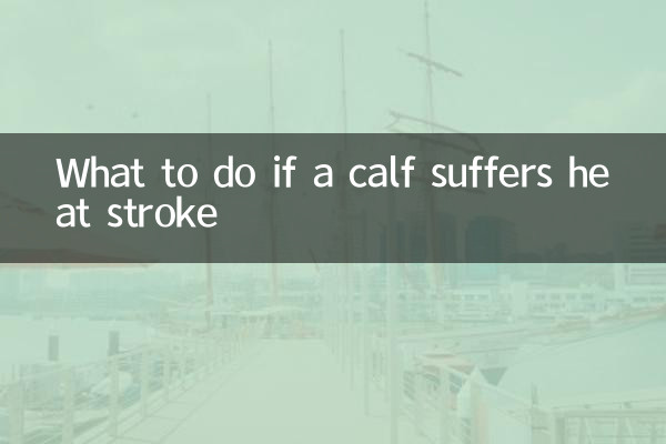 O que fazer se um bezerro sofrer insolação