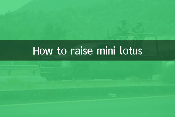 How to raise mini lotus