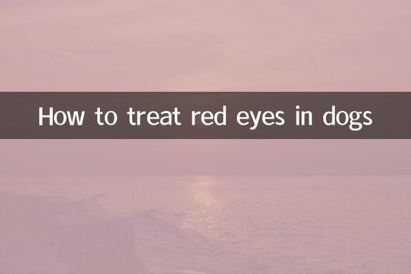狗眼睛红是怎么治疗方法