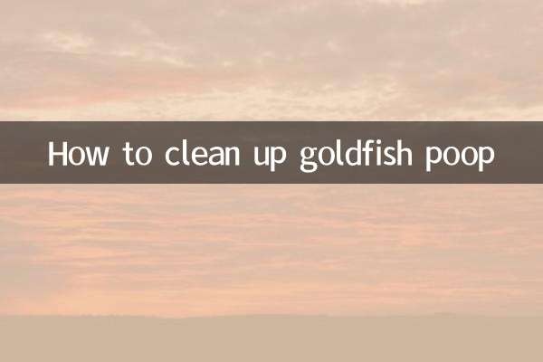 Cómo limpiar la caca de los peces de colores