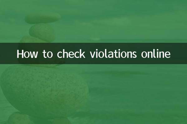 オンラインで違反を確認する方法