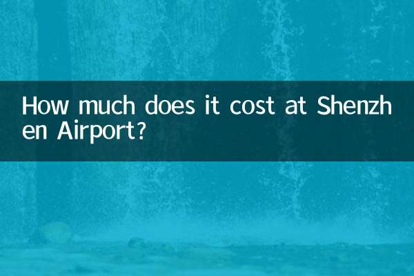 كم يكلف في مطار شنتشن؟