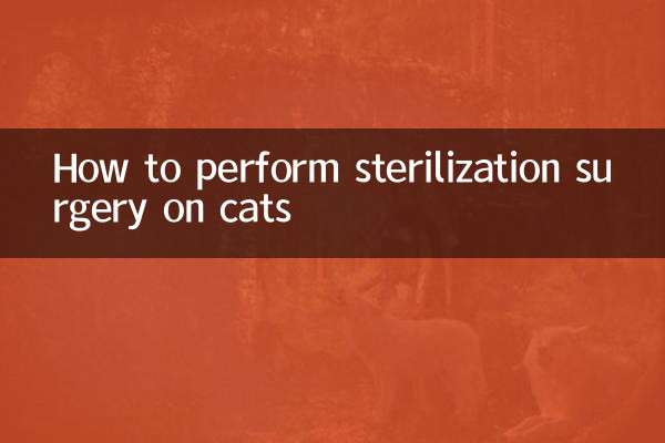 猫做绝育手术怎么做