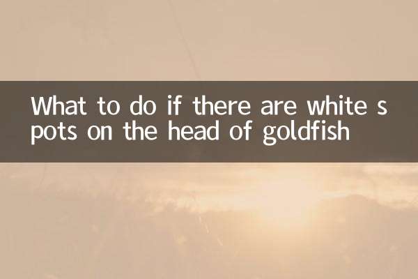 O que fazer se houver manchas brancas na cabeça do peixinho dourado