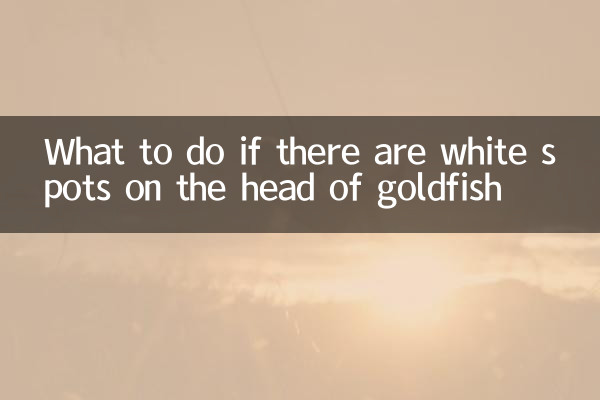 গোল্ডফিশের মাথায় সাদা দাগ হলে কী করবেন?