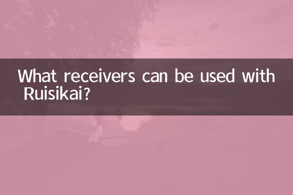 Ruisikai ではどのような受信機が使用できますか?