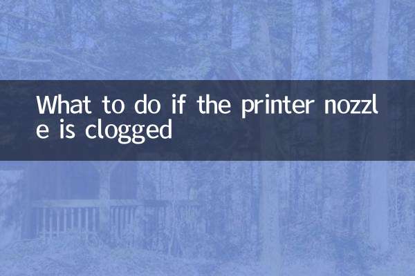 What to do if the printer nozzle is clogged