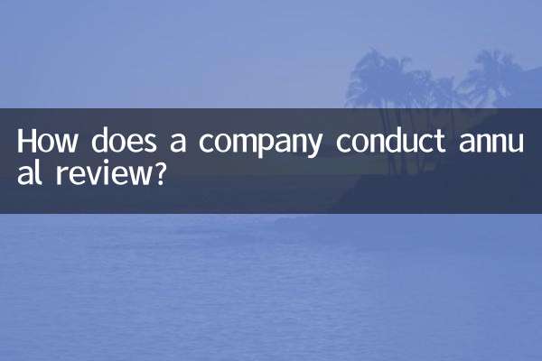 ¿Cómo realiza una empresa la revisión anual?