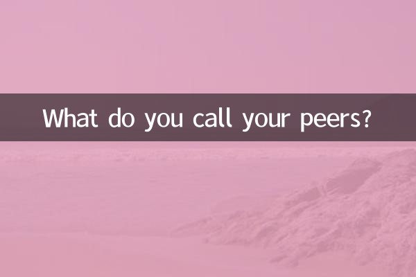 ¿Cómo llamas a tus compañeros?