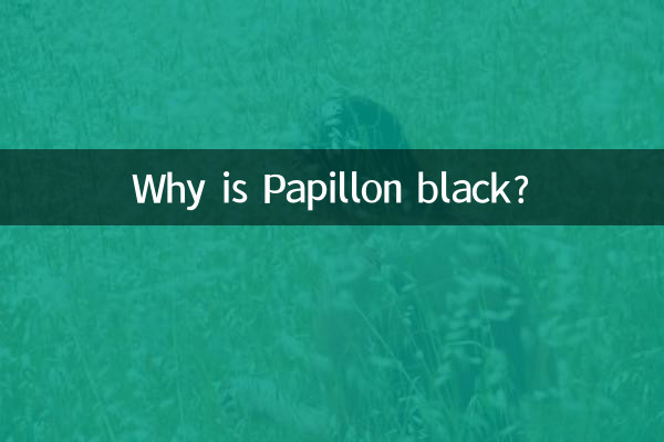 چرا پاپیلون سیاه است؟