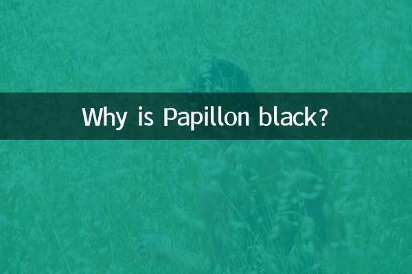 蝴蝶犬怎么是黑色