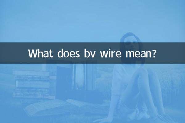 bv電線什麼意思