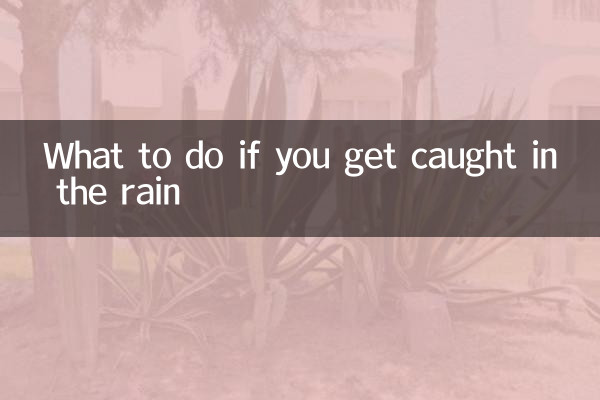 雨に降られたらどうするか