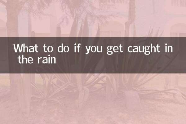 雨に降られたらどうするか