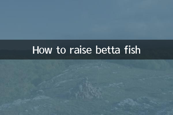 How to raise betta fish