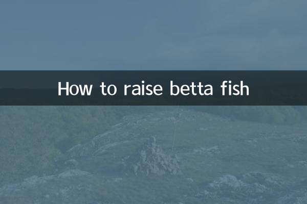 How to raise betta fish