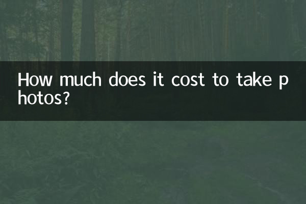 사진을 찍는 데 비용이 얼마나 드나요?