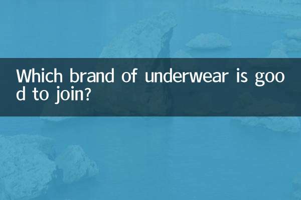 Zu welcher Unterwäschemarke passt man am besten?