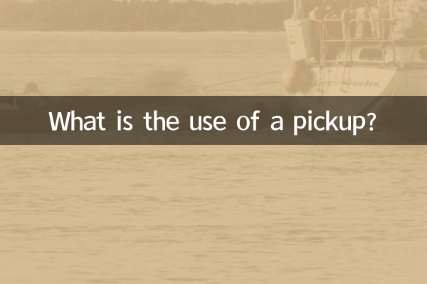 ピックアップって何に使うの？