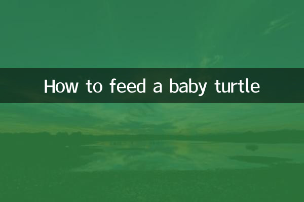 Come nutrire un cucciolo di tartaruga