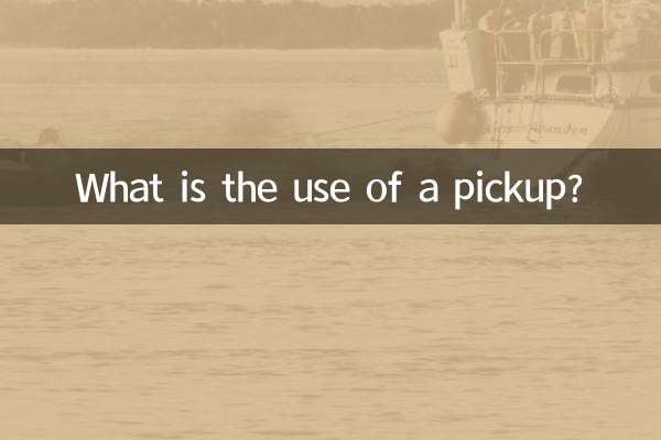 ピックアップって何に使うの？