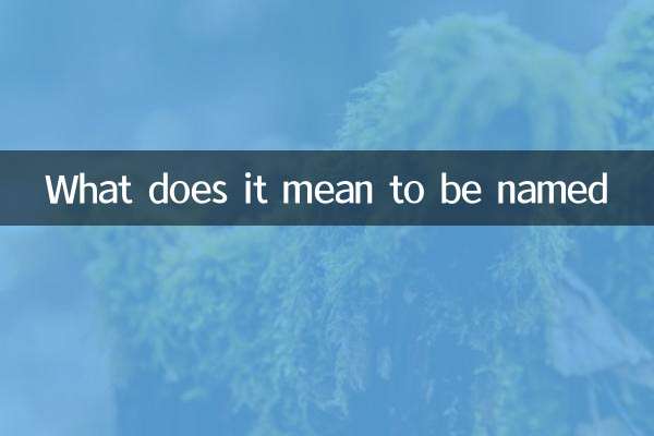 이름이 붙는다는 것은 무엇을 의미합니까?