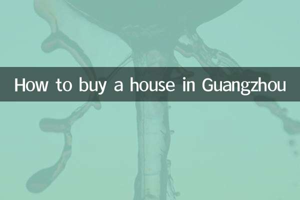 كيفية شراء منزل في قوانغتشو