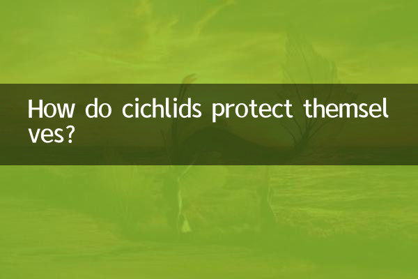 Как цихлиды защищаются?