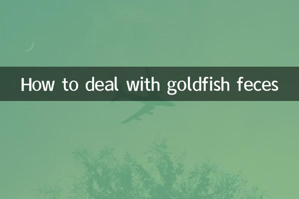 How to deal with goldfish feces