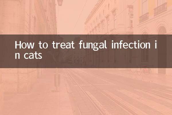 How to treat fungal infection in cats