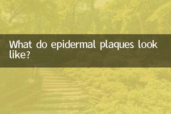 एपिडर्मल प्लाक कैसा दिखता है?