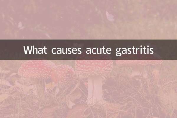 Was verursacht akute Gastritis?