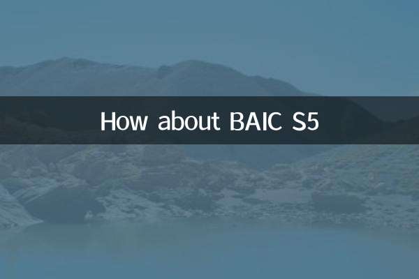 ¿Qué tal BAIC S5?