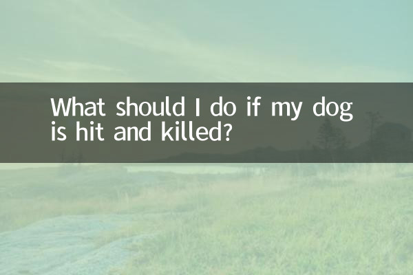What should I do if my dog is hit and killed?