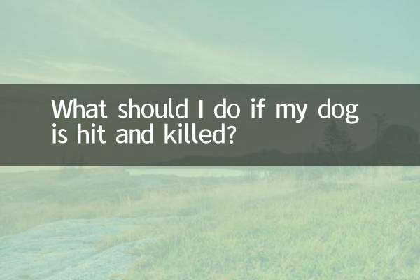 What should I do if my dog is hit and killed?