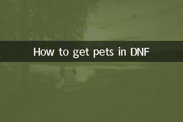 Cómo conseguir mascotas en DNF