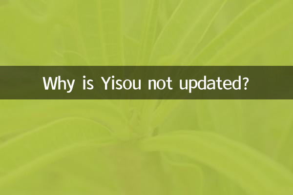 ¿Por qué Yisou no está actualizado?