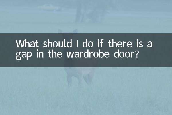 ماذا علي أن أفعل إذا كان هناك فجوة في باب خزانة الملابس؟
