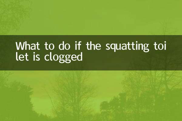 O que fazer se o banheiro de cócoras estiver entupido