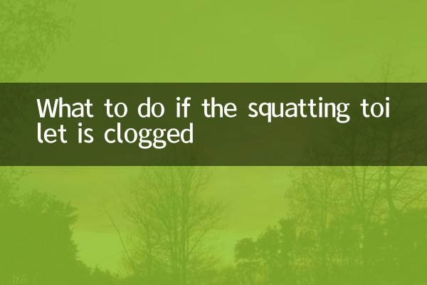 Was tun, wenn die Hocktoilette verstopft ist?