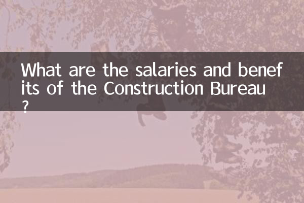 নির্মাণ ব্যুরোর বেতন ও সুবিধা কী কী?