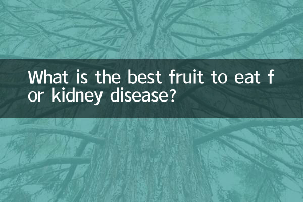गुर्दे की बीमारी के लिए खाने के लिए सबसे अच्छा फल कौन सा है?