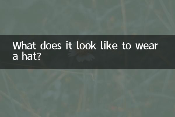 À quoi ça ressemble de porter un chapeau ?