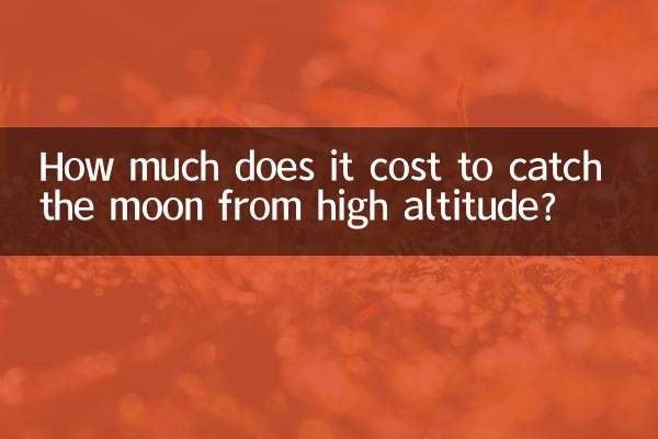 高空揽月多少钱