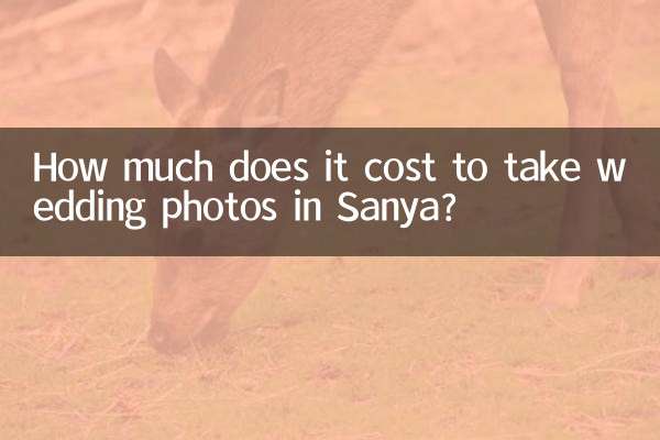 싼야에서 웨딩 사진을 찍는 데 드는 비용은 얼마입니까?
