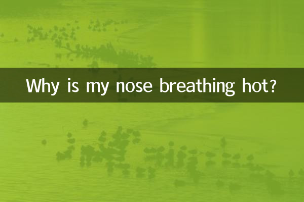 چرا بینی من گرم است؟