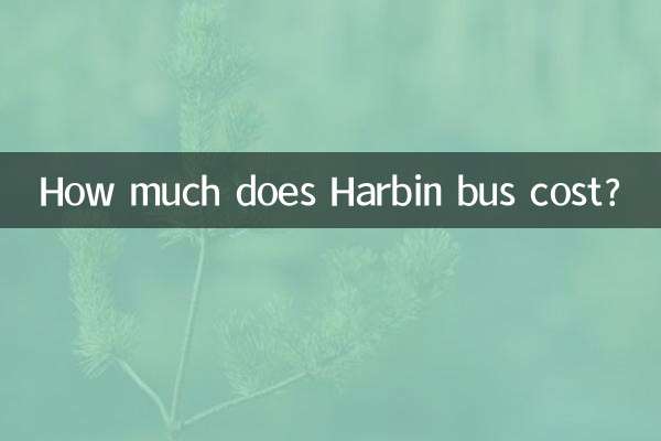 하얼빈 버스 요금은 얼마인가요?