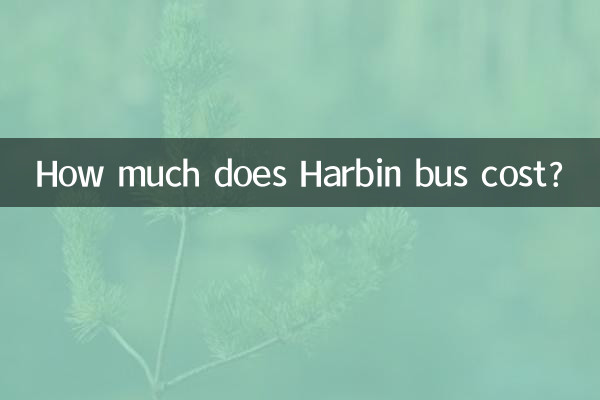 하얼빈 버스 요금은 얼마인가요?