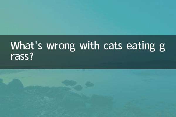 Was ist falsch daran, dass Katzen Gras fressen?