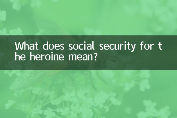 Que signifie la sécurité sociale pour l'héroïne ?